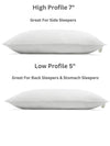 Plant - Based Pillow - Sweet Zzz Official