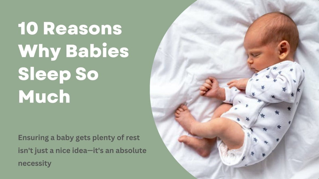 10 Reasons Why Babies Sleep So Much - Sweet Zzz Official