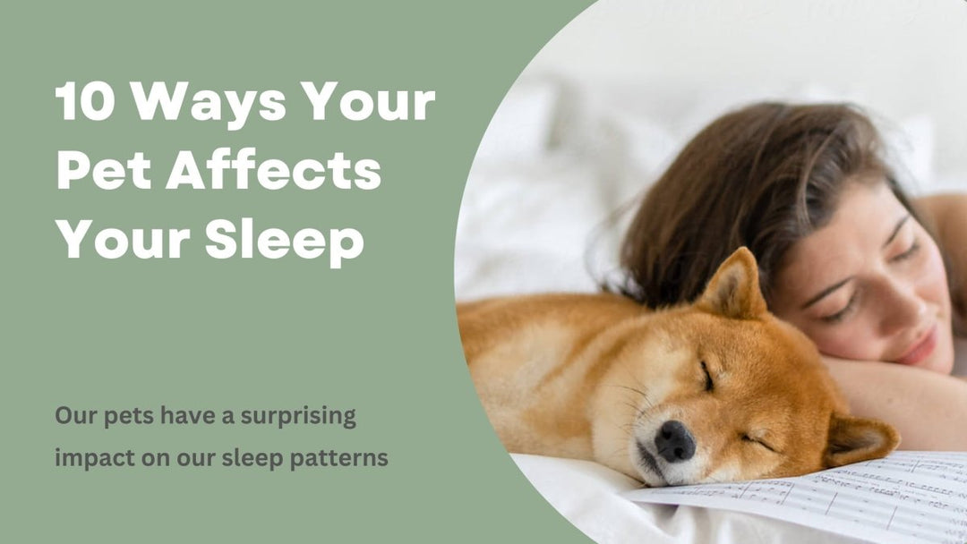 10 Ways Your Pet Affects Your Sleep - Sweet Zzz Official