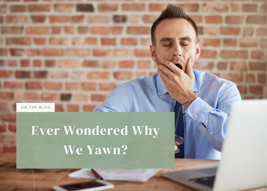 Ever Wondered Why We Yawn?