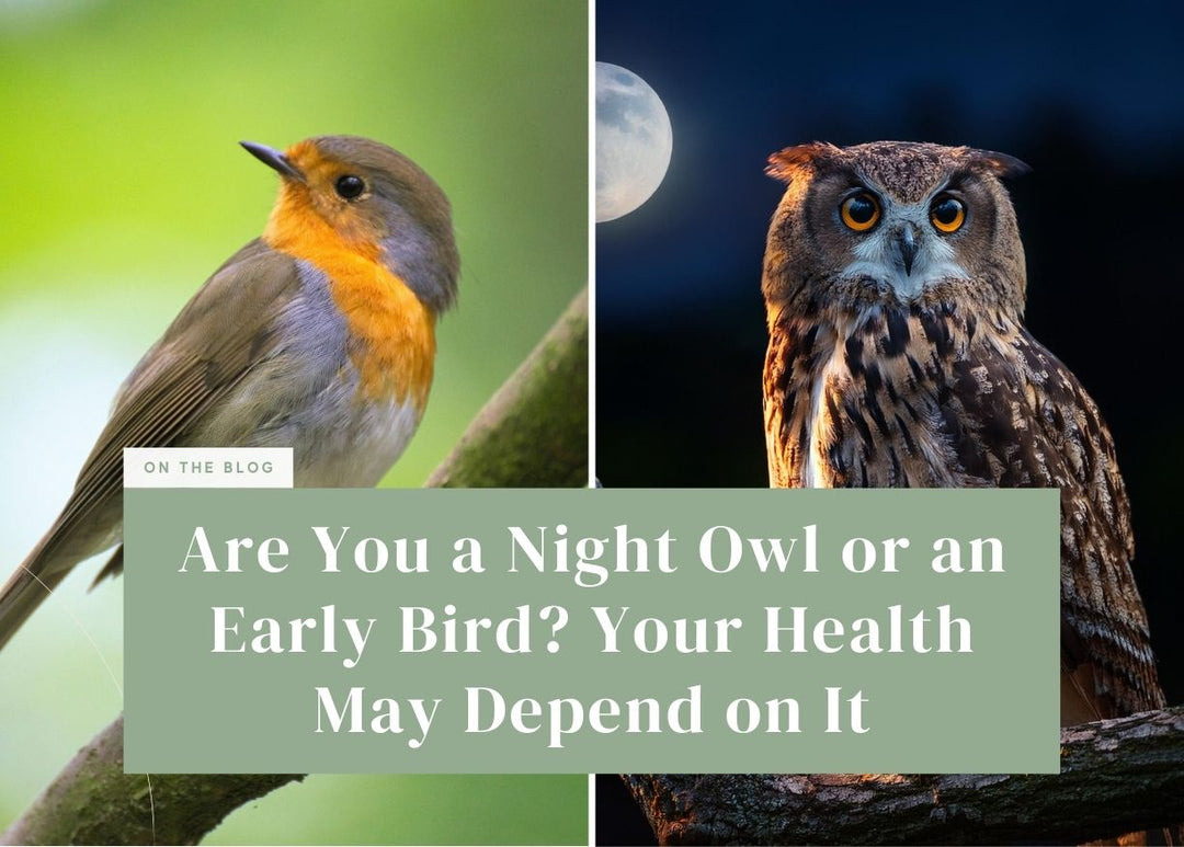 Split photo featuring a robin perched on a branch during the day alongside a horned owl under a full moon.