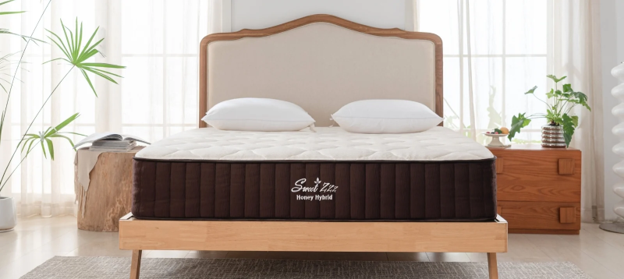 Is Your "Non-Toxic" Mattress Actually Making Your Back Pain Worse? What to Check Before You Buy