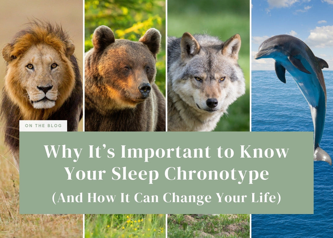 Why It’s Important to Know Your Sleep Chronotype (And How It Can Change Your Life)