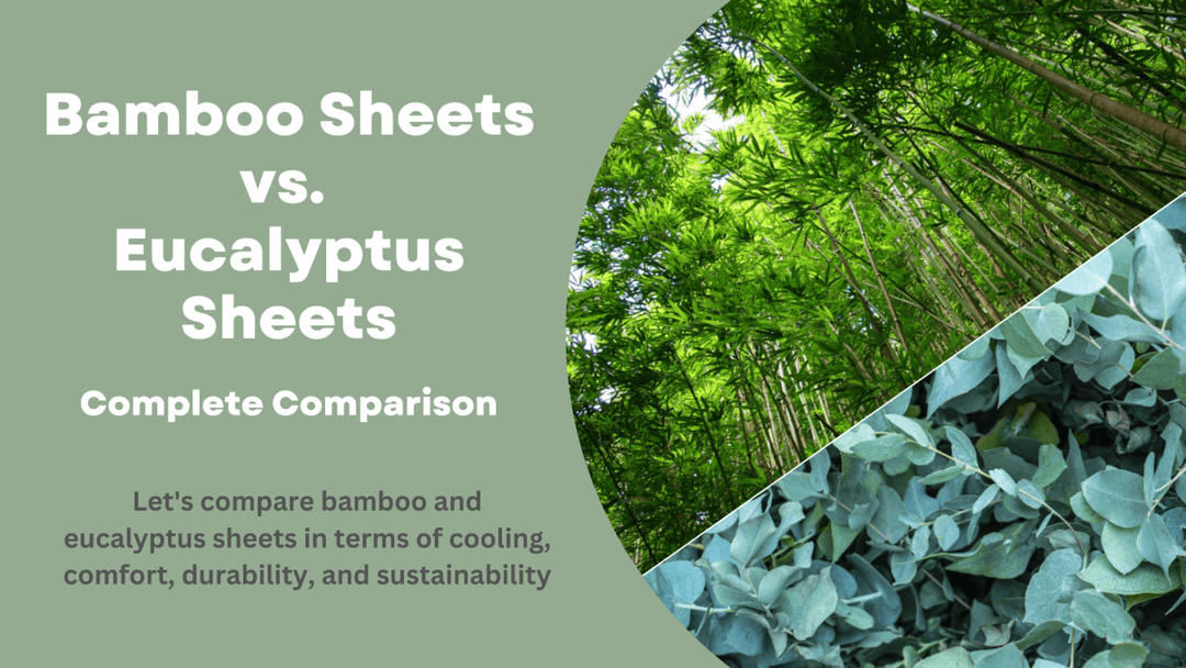 Bamboo Sheets vs. Eucalyptus Sheets: Complete Comparison - Sweet Zzz Official