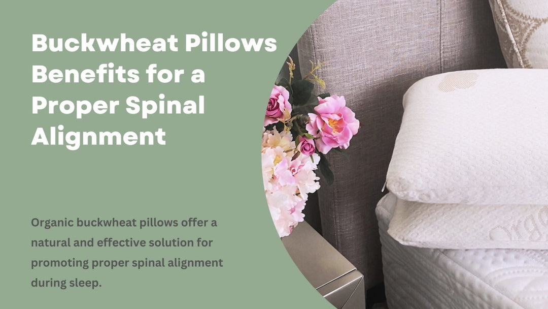 Buckwheat Pillows Benefits for a Proper Spinal Alignment - Sweet Zzz Official