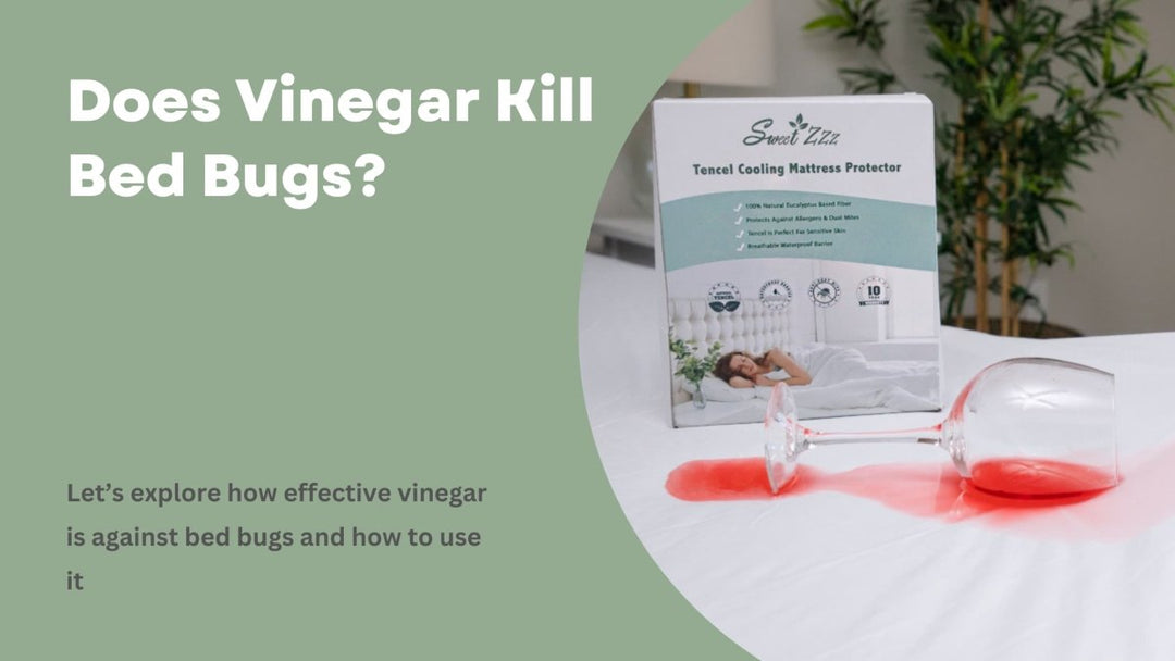 Does Vinegar Kill Bed Bugs? - Sweet Zzz Official