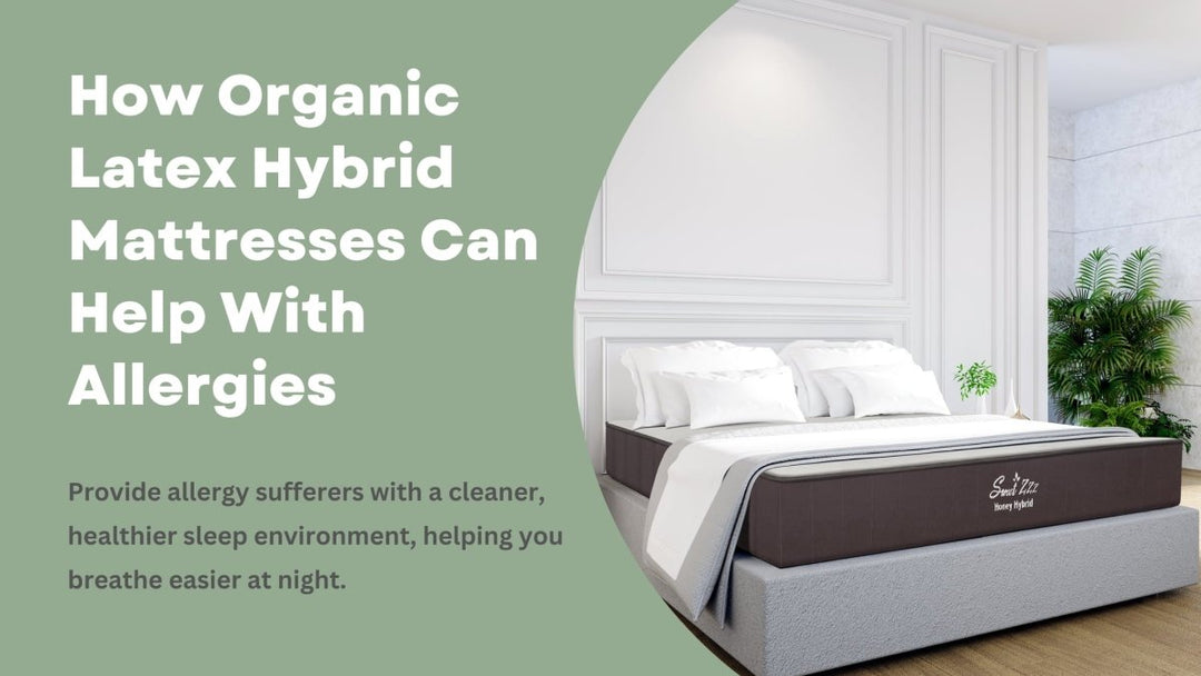 How Organic Latex Hybrid Mattresses Can Help With Allergies - Sweet Zzz Official