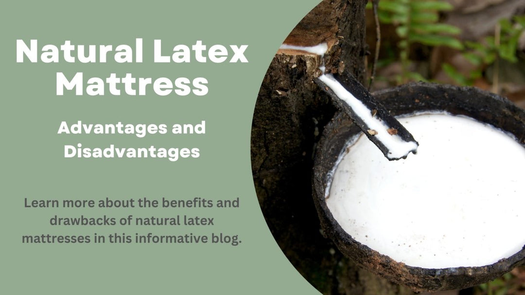 Natural Latex Mattress {Advantages and Disadvantages} - Sweet Zzz Official