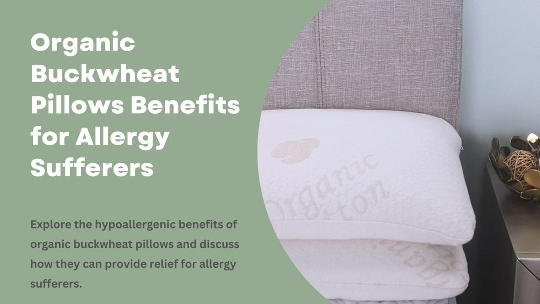 Organic Buckwheat Pillows Benefits for Allergy Sufferers - Sweet Zzz Official