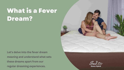What is a Fever Dream?