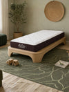 Honey Youth Mattress