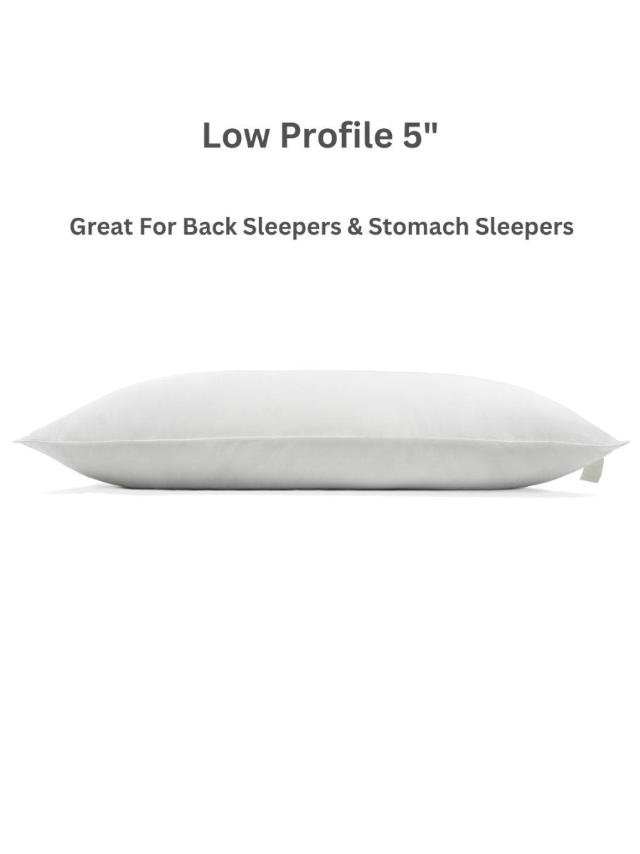 Plant - Based Pillow - Sweet Zzz Official