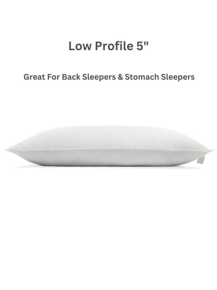 Plant - Based Pillow - Sweet Zzz Official