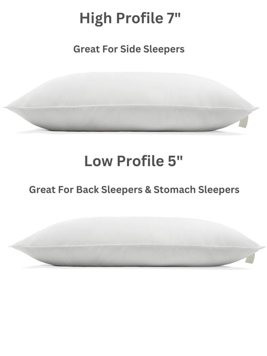 Plant - Based Pillow - Sweet Zzz Official