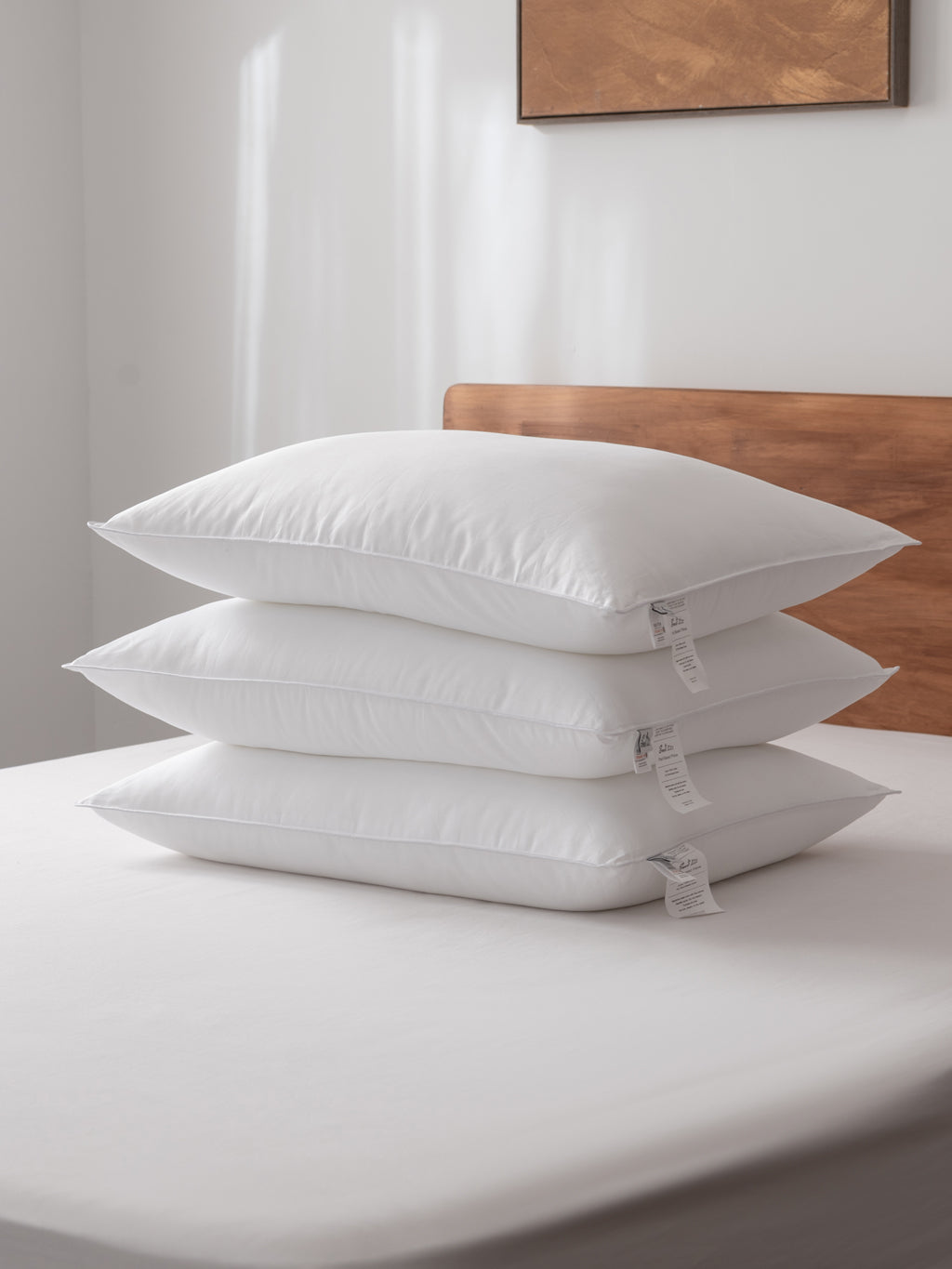 Products – Sweet Zzz Official