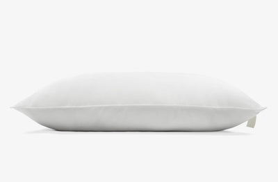Plant-Based Pillow - Sweet Zzz Official